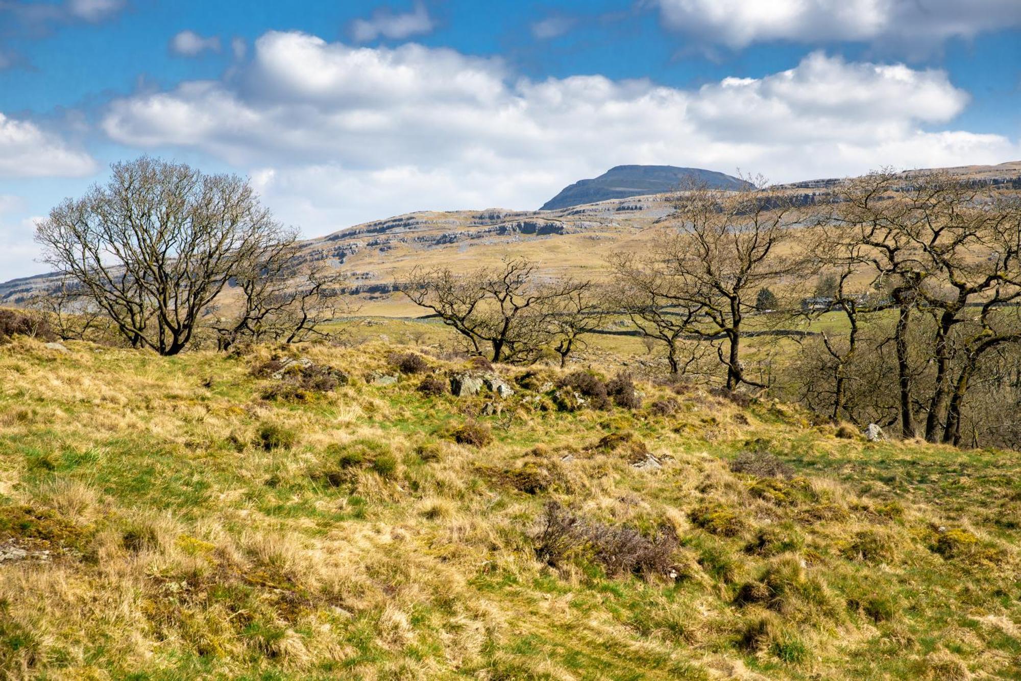 Falls Park Ingleton  Exterior foto
