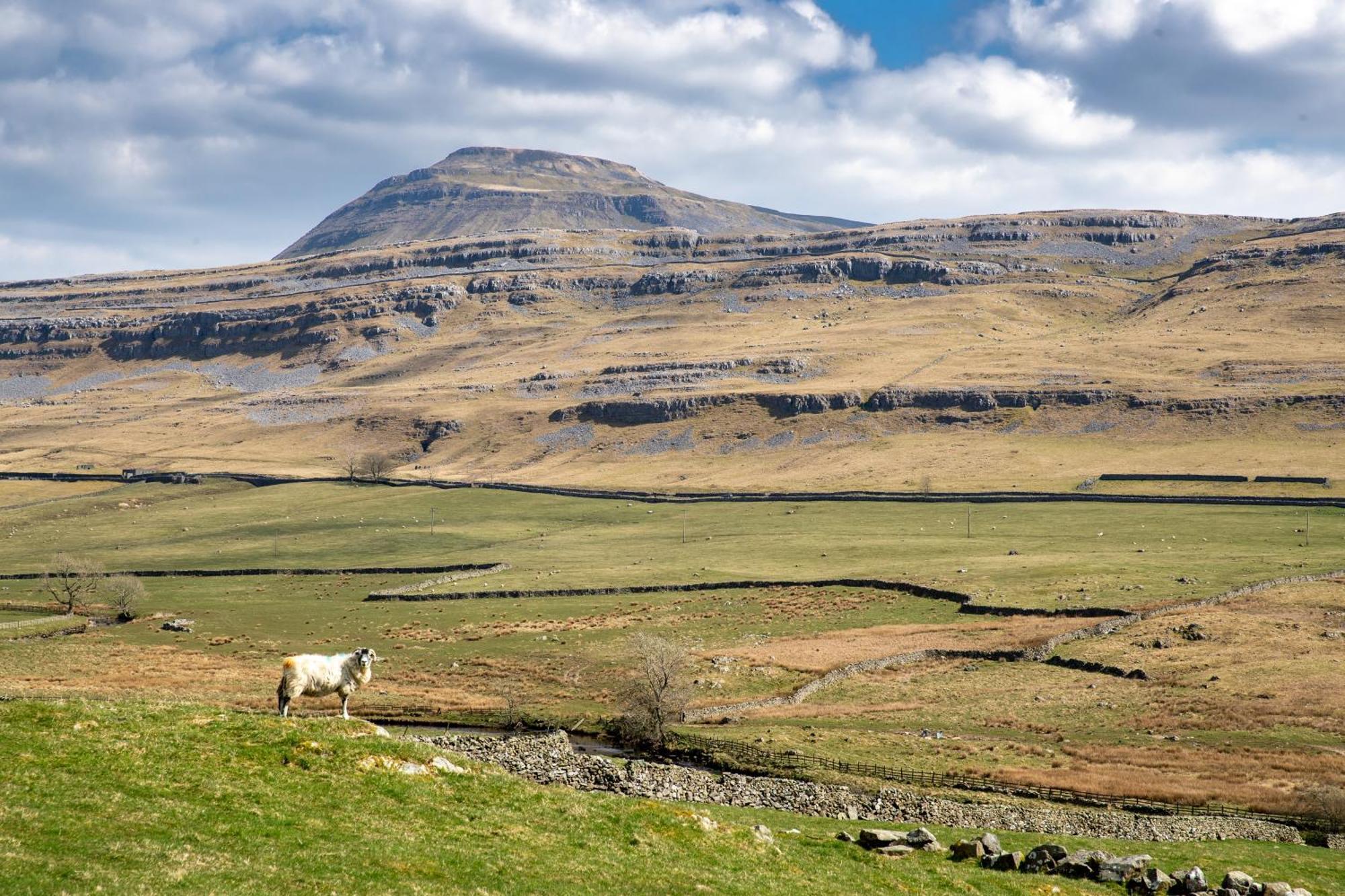 Falls Park Ingleton  Exterior foto
